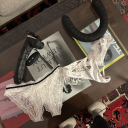 fortunatelyfuzzyqueen avatar