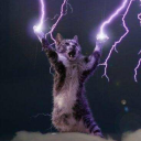 fortunatelyseveregrimwhispers avatar