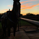 forward-motion avatar