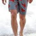 foulhologrampenguin avatar