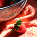 four-get-me-not avatar