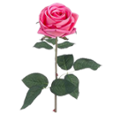 fourthirteenpm avatar