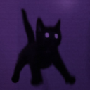 foxes-and-crow avatar