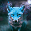 foxtrotsambablue avatar