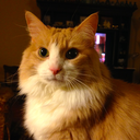 fractalexplanations avatar