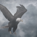 fractured-tempest444 avatar