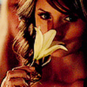 fractureddevotion avatar