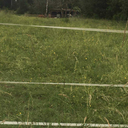 fraenky71-blog avatar