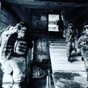 francypenguinstarlight avatar