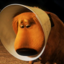 frankie-ann-blog avatar