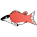 frantic-aspic avatar