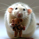 freakingphoenix avatar