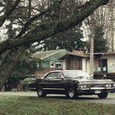 frecklesrex-blog avatar