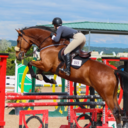 free-jumpingg avatar