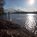 freedom-in-sight avatar