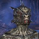 freedomforargonians avatar