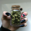 freedomganja-blog avatar