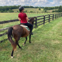 freelance-anthem avatar