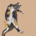 freelancechlo avatar