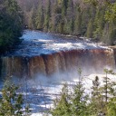 freepassbound avatar