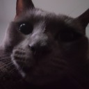 freezerfridays avatar