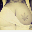 fremontfreddy702 avatar