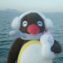 frenchtoastudies avatar