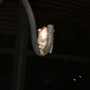 frenchys-hoard avatar