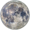 frendlyneighborhoodginger avatar