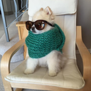 freshwaterduck avatar