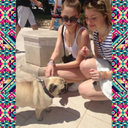 freudentraenen avatar