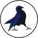 friend-crow avatar
