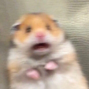 friendly-neighborhood-bastard avatar