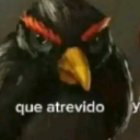 frigorificosalado avatar