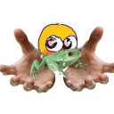 frog-poster avatar