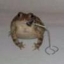 froggoanddacrewheadlines avatar