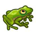 froggyccfinds avatar