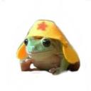 frogsoks avatar