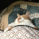 frostedpanes-candlesticks avatar