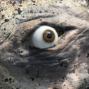 frostysheepdoodle avatar