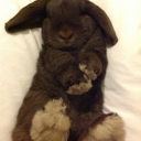 frostystudies avatar