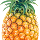 fruit-suit-riot avatar