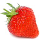 fruitappreciation avatar