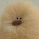 fruitsugarcane avatar