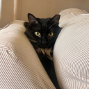 fruityfretter avatar