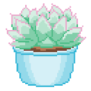 fuck-yeah-cacti-and-succulents avatar