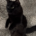 fuckoffbitchhh avatar