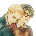 fuckyeah-drarry avatar