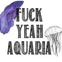 fuckyeahaquaria avatar