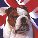 fuckyeahbritain avatar